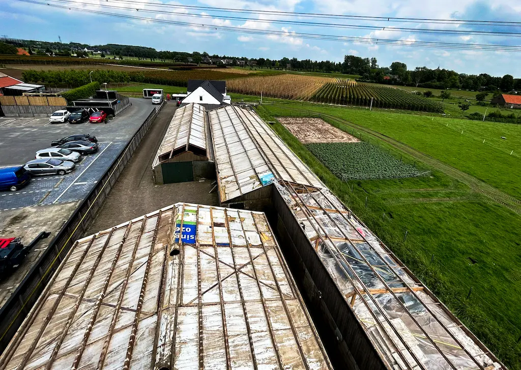 Remediated roofs in Dodewaard, front roofs